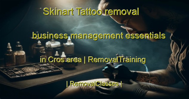Skinart Tattoo removal business management essentials in Cros area | RemovalTraining | RemovalClasses | SkinartTraining-France